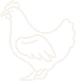 Golden Hatcheries