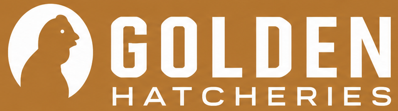 Golden Hatcheries