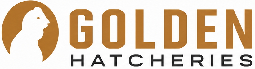 Golden Hatcheries
